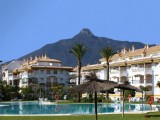 La Dama de Noche Puerto Banus